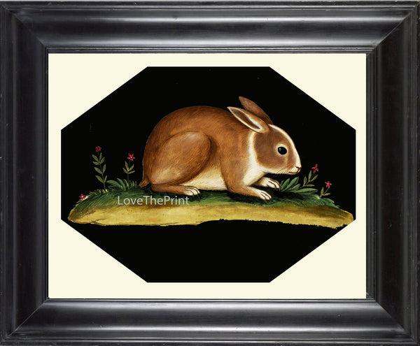 Rabbit Print  Art Print 22 Beautiful Antique Bunny Flowers on Black Background Country Rustic Primitive Nature Farm Home Room Decoration
