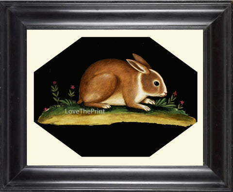 Rabbit Print  Art Print 22 Beautiful Antique Bunny Flowers on Black Background Country Rustic Primitive Nature Farm Home Room Decoration