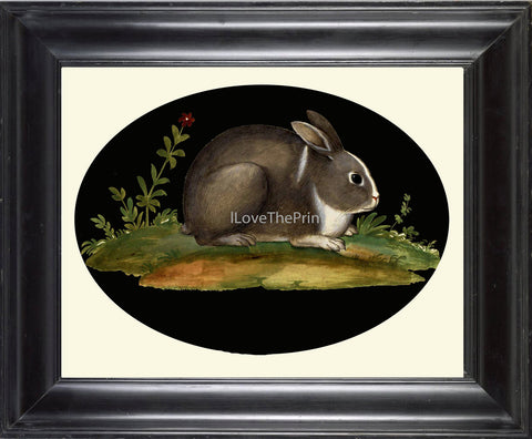 Rabbit Print  Art Print 23 Beautiful Antique Bunny Flowers on Black Background Country French Rustic Vintage Nature Farm Home Room Decor