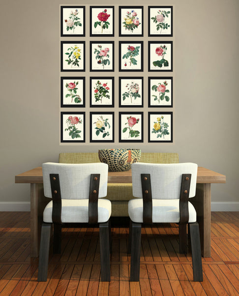 BOTANICAL PRINT Redoute Flower  Art Print 20 Beautiful Antique Pink Roser French Spring Garden Plant to Frame Decor Interior Desing