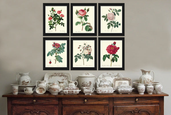 BOTANICAL PRINT Redoute Flower  Art Print 423 Beautiful Antique Pink Rose French Country Butterfly Graden Illustration to Frame Decor