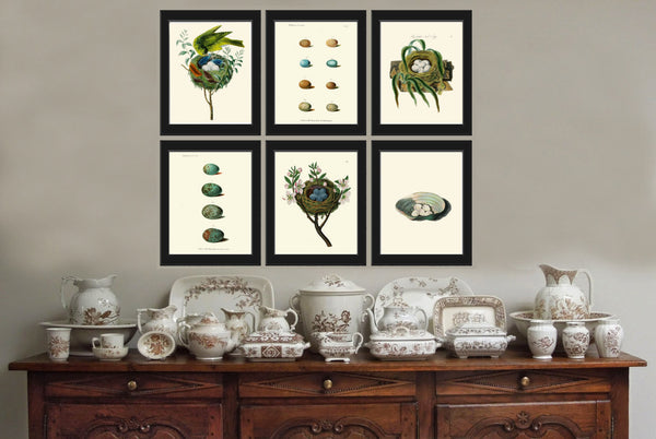 BIRD PRINT  Art B8 Beautiful Antique Red Pole Bird Nest Blue Eggs Yellow Flower Decoration Wall Hanging Home Living Room Interior Design