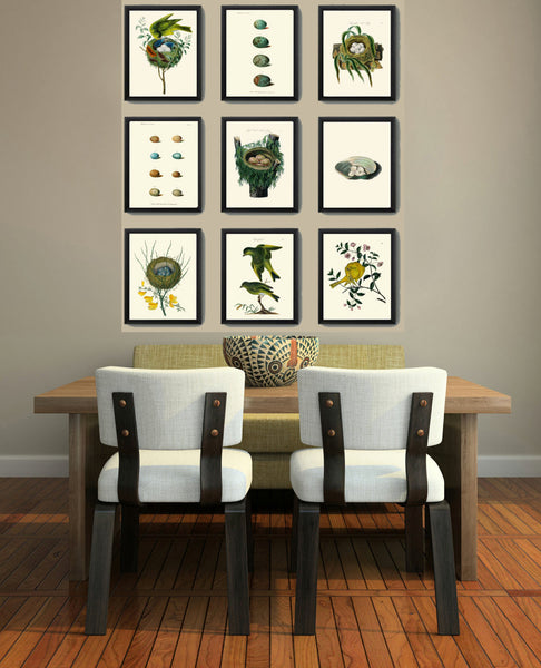 BIRD PRINT  Art B8 Beautiful Antique Red Pole Bird Nest Blue Eggs Yellow Flower Decoration Wall Hanging Home Living Room Interior Design