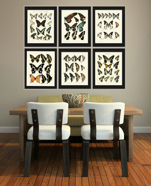 BUTTERFLY PRINT SEITZ  Botanical Art Print 31 Beautiful Blue Spotted Butterflies Natural Science Antique Illustration Home Wall Decor