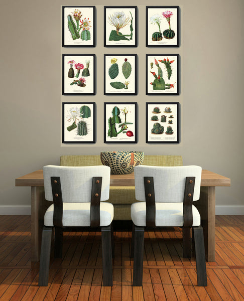 BOTANICAL PRINT CACTUS  Art Print 19 Beautiful Large White Plant Flower Tropical Illustration Garden Nature Home Wall Decor to Frame