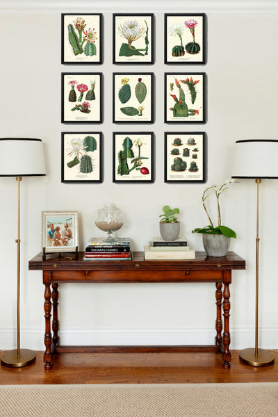 BOTANICAL PRINT CACTUS  Art Print 11 Beautiful Blooming Plant Flower Tropical Illustration Garden Nature Home Wall Decor to Frame