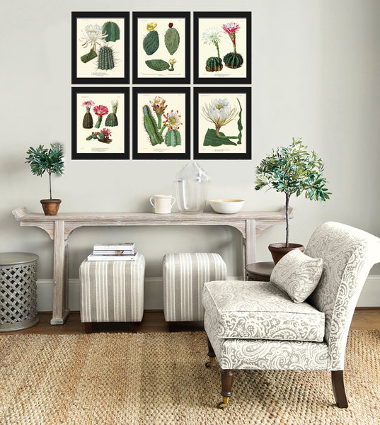 BOTANICAL PRINT CACTUS  Art Print 11 Beautiful Blooming Plant Flower Tropical Illustration Garden Nature Home Wall Decor to Frame