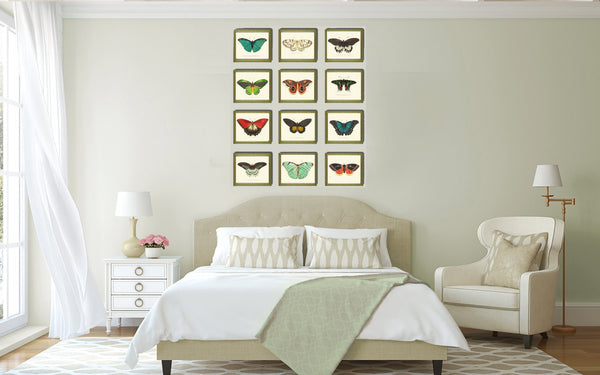 BUTTERFLY PRINT  Botanical Art Print NOD173 Beautiful Insect Colorful Spring Summer Flower Garden Nature Home Room Wall Decor to Frame