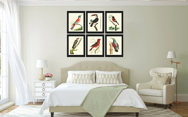 Bird Print  Art NOD172 Beautiful Antique Red Bird Tree Branch Illustration Decoration Wall Home Room Decoration Forest Nature to Frame