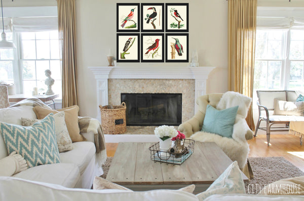 Bird Print  Art NOD224 Beautiful Antique Red Orange Songbird Green Tree Leaves Picture Illustration Nature Wall Home Room Decor to Frame